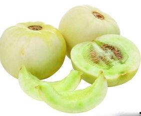 信盟科技吃瓜,揭秘互联网巨头背后的“吃瓜”故事