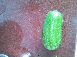 瓜娄子孕妇可以吃吗,安全与营养两不误