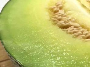 佛山销售吃瓜,夏日消暑新宠