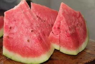 小伙吃石头瓜视频大全,小伙挑战奇特食材，视频大全带你领略异国风味