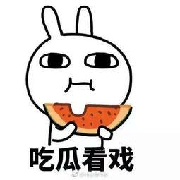 热心网民吃瓜,揭秘娱乐圈幕后真相