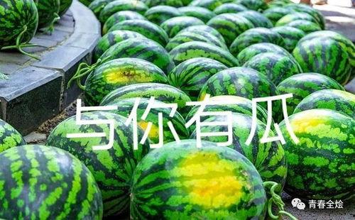 大学有什么瓜吃,那些你不知道的“瓜”与趣事