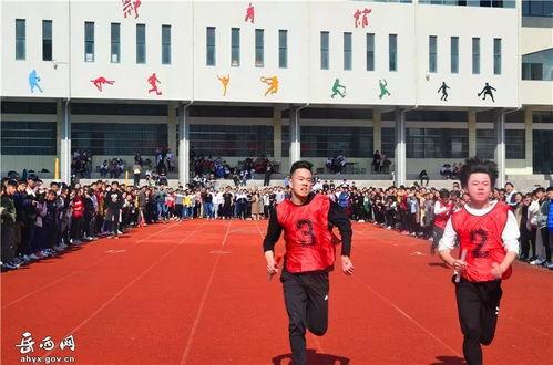 岳西中学吃瓜,揭秘校园里的热点话题