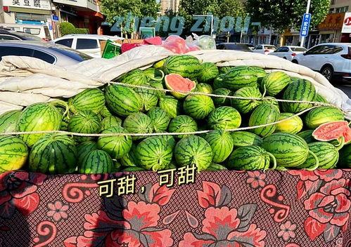 吃瓜视频郑州,揭秘城市生活百态